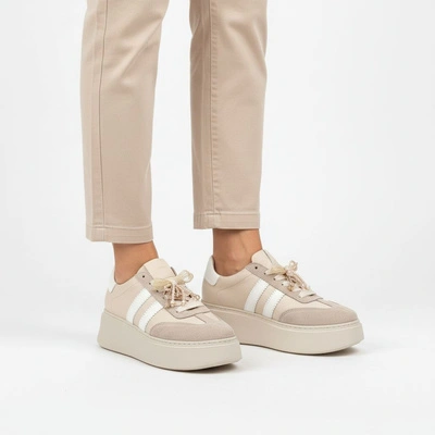 Adidași CHEBELLO - 4805_-157-431-PSK-S251 Beż Jasny