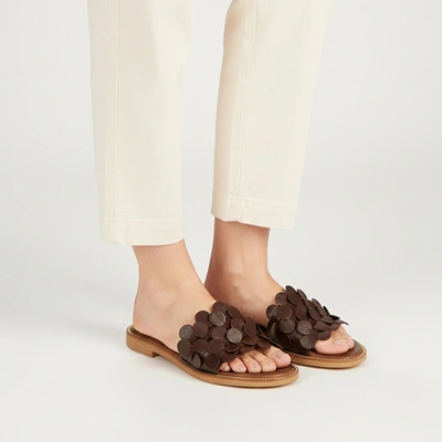 Șlapi ARMODO - 40381 Bf.Czekolada