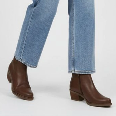 Botine HEE - 25773 Autolucido Marron