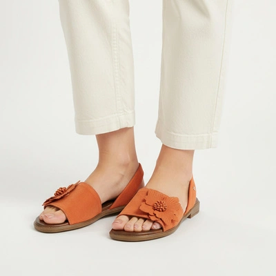 Portocalii ARMODO - 40471 Zamsz Pomarańcz