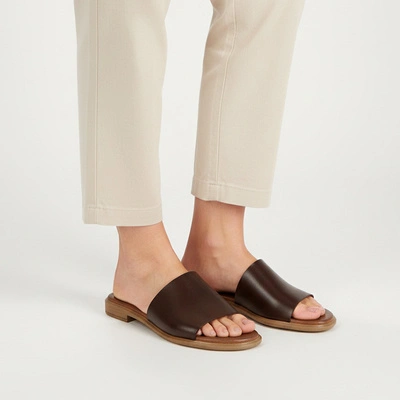 Șlapi ARMODO - 40475 Bf.Czekolada